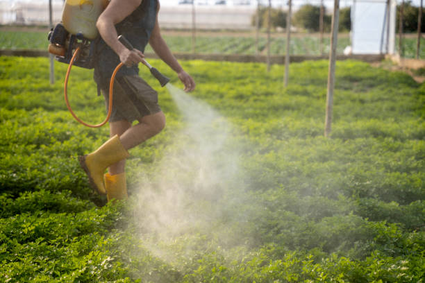 Best Affordable Pest Control Services  in La Porte, IN