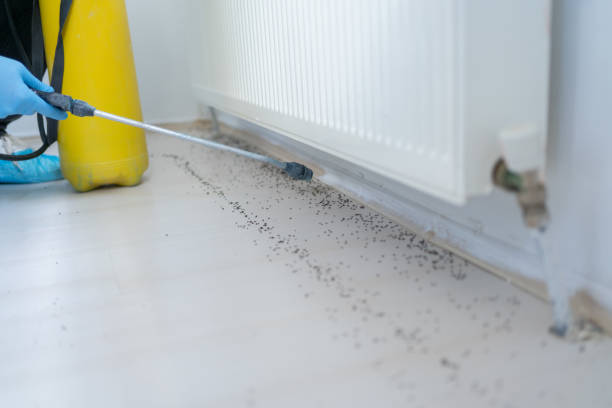 Professional Pest Control in La Porte, IN